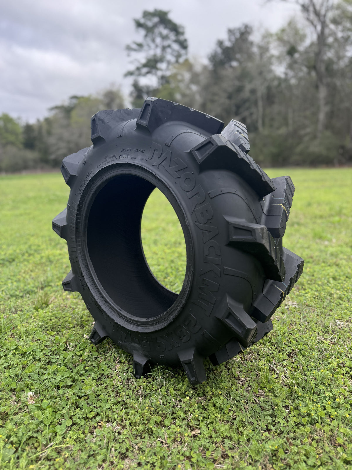 Wild Boar Razorback M/T
