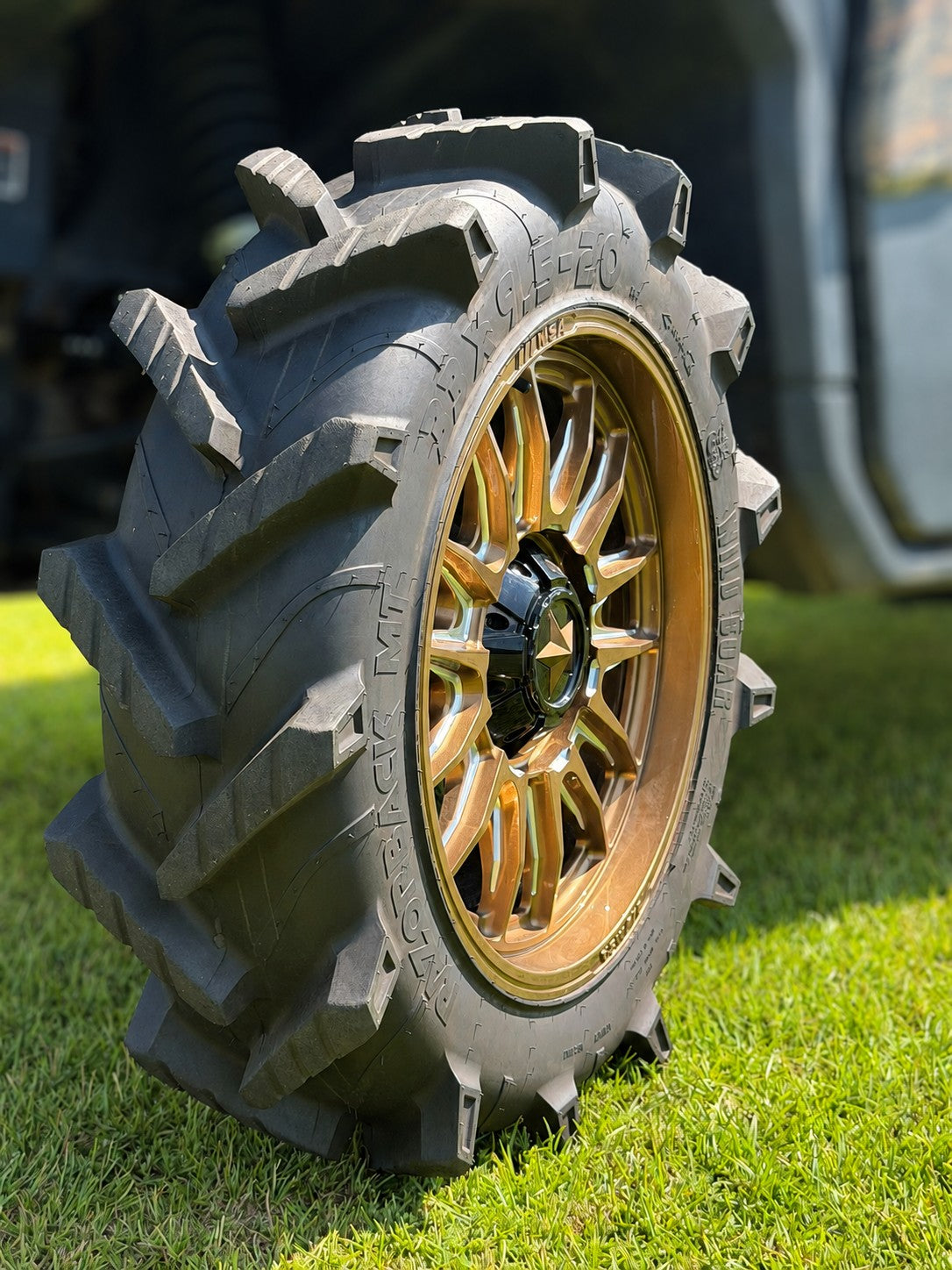 Wild Boar Razorback M/T
